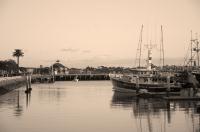 Hanging Out by the Pier�